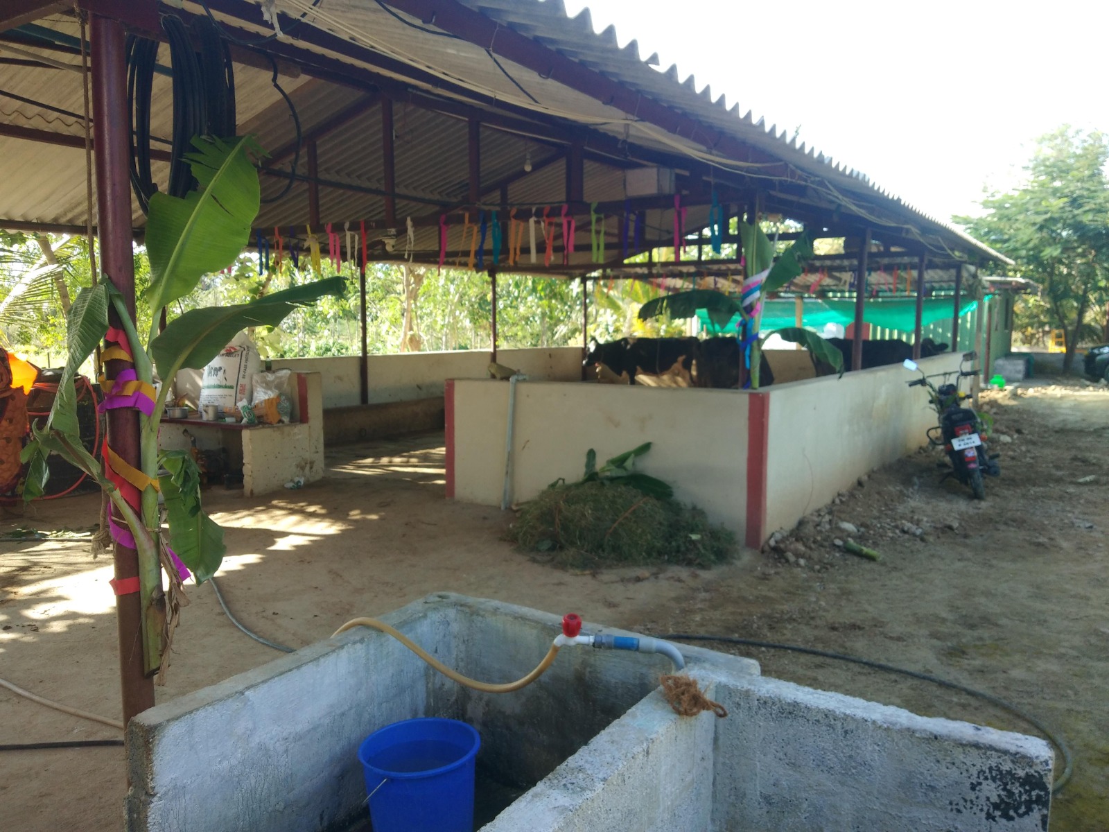 Natural farm environment